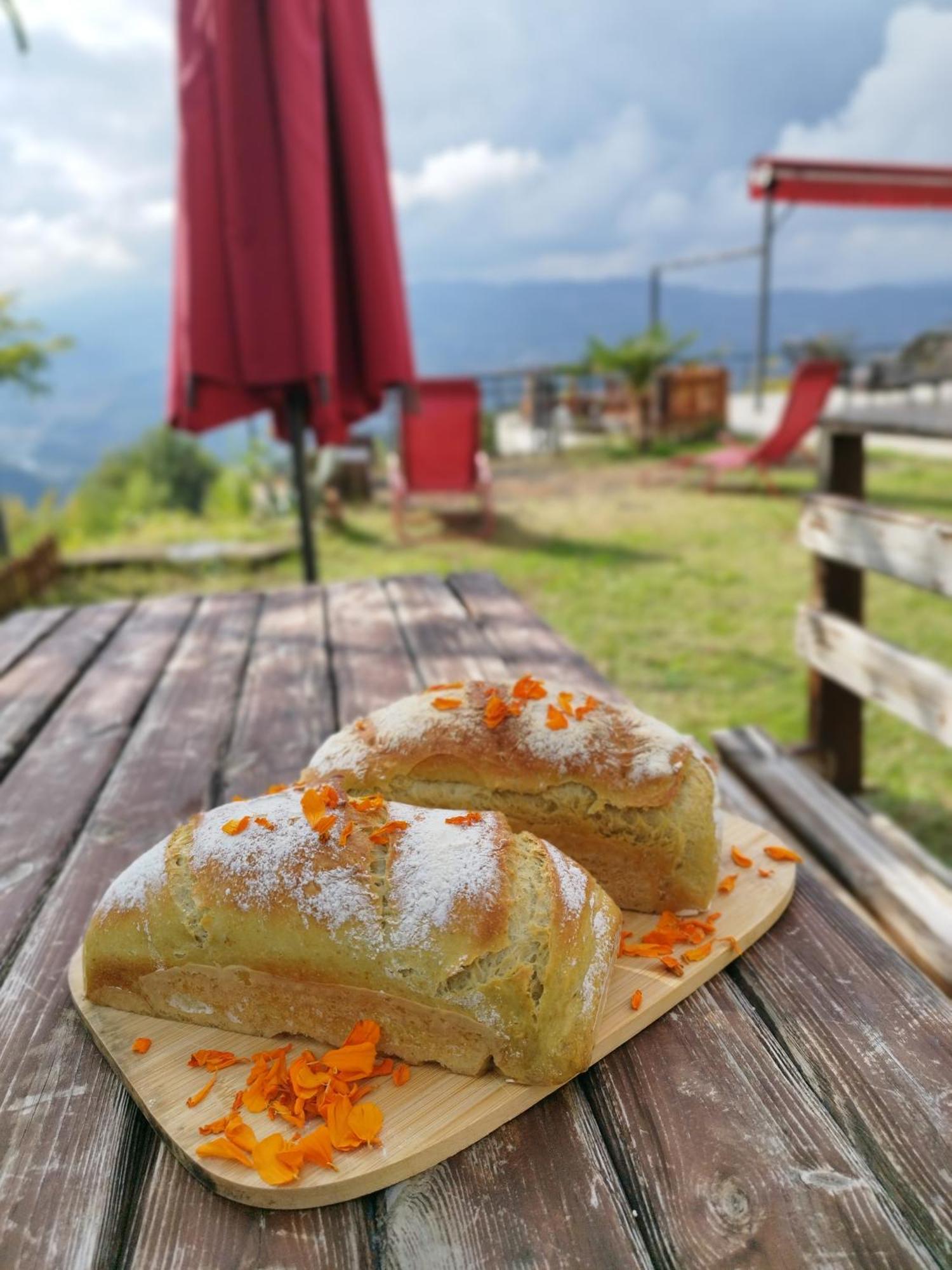 Hayat Oksijen Resort Κοτύωρα Εξωτερικό φωτογραφία